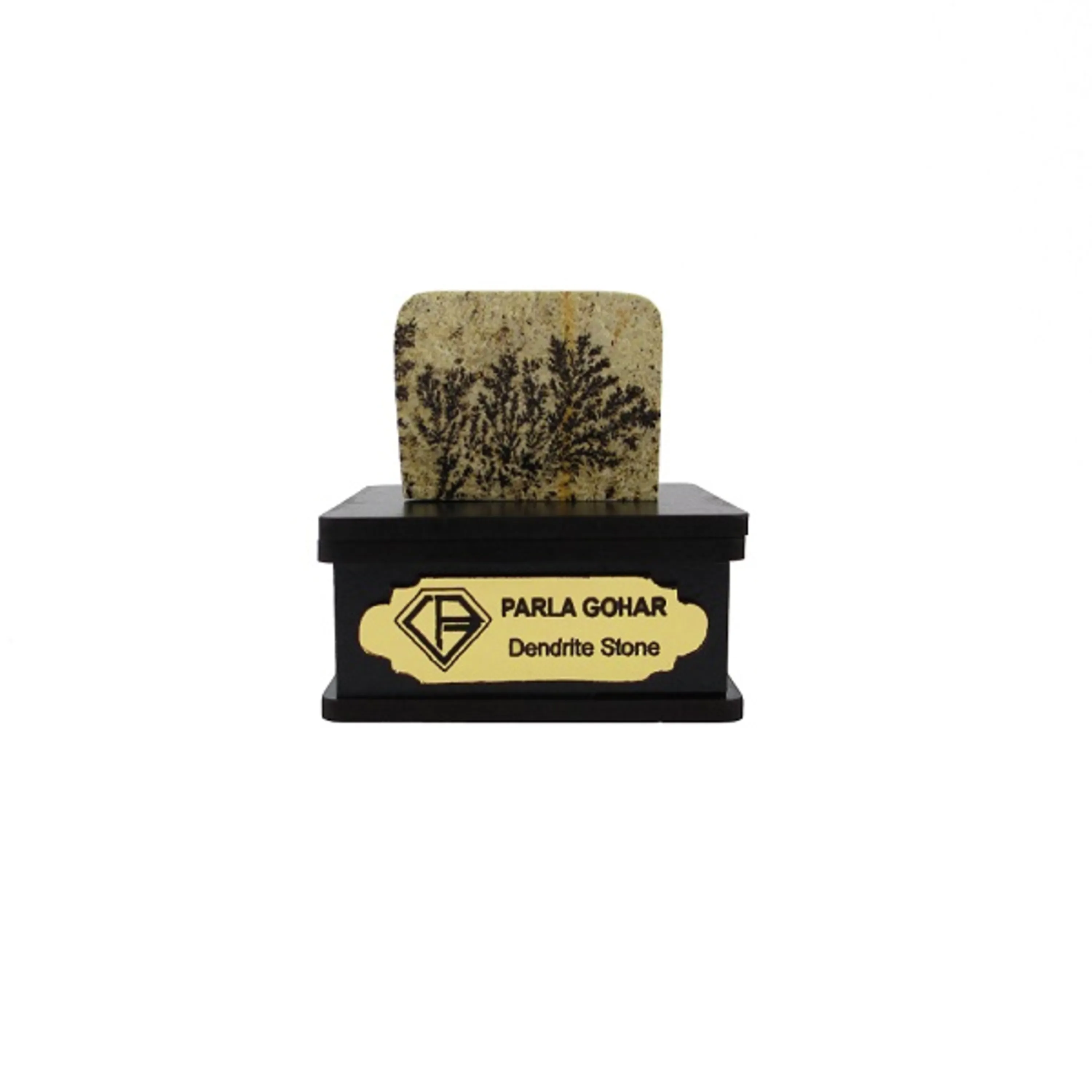 شجر راف کد 2348